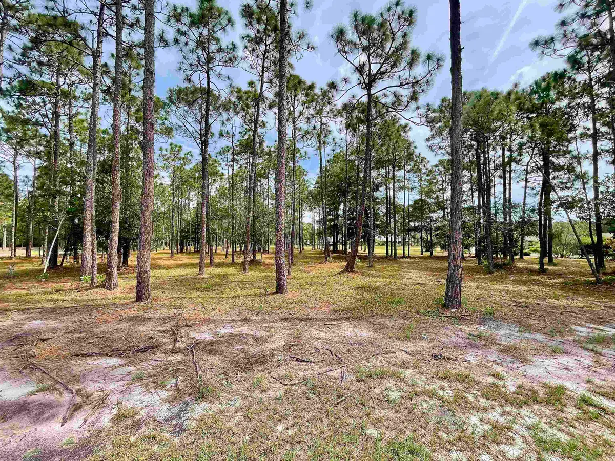 6804 Beckman Circle, Ocean Isle Beach, NC 28469 - #1