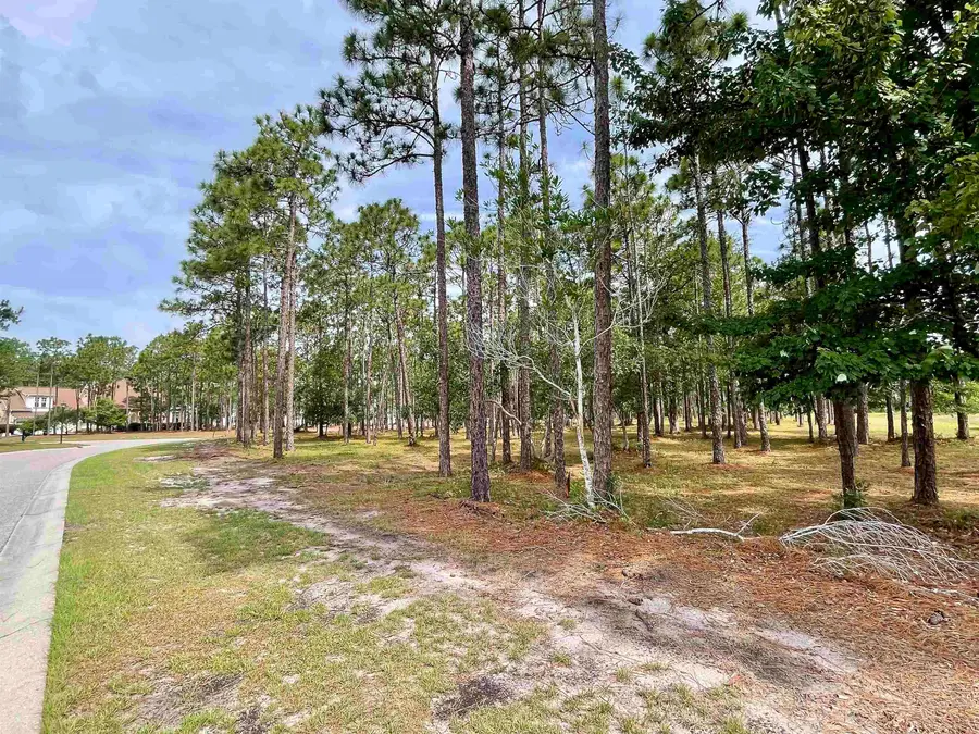 6804 Beckman Circle, Ocean Isle Beach, NC 28469 - #2