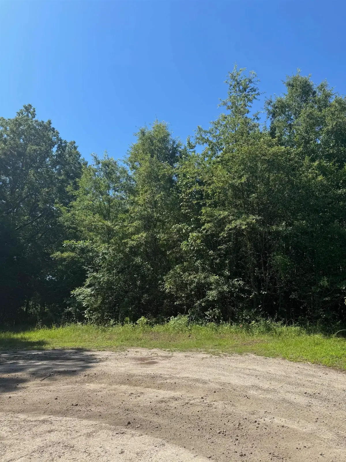 TBD Derrick Ct., Marion, SC 29571 - #1