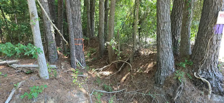 TBD4 Highway 111, Little River, SC 29566 - #3