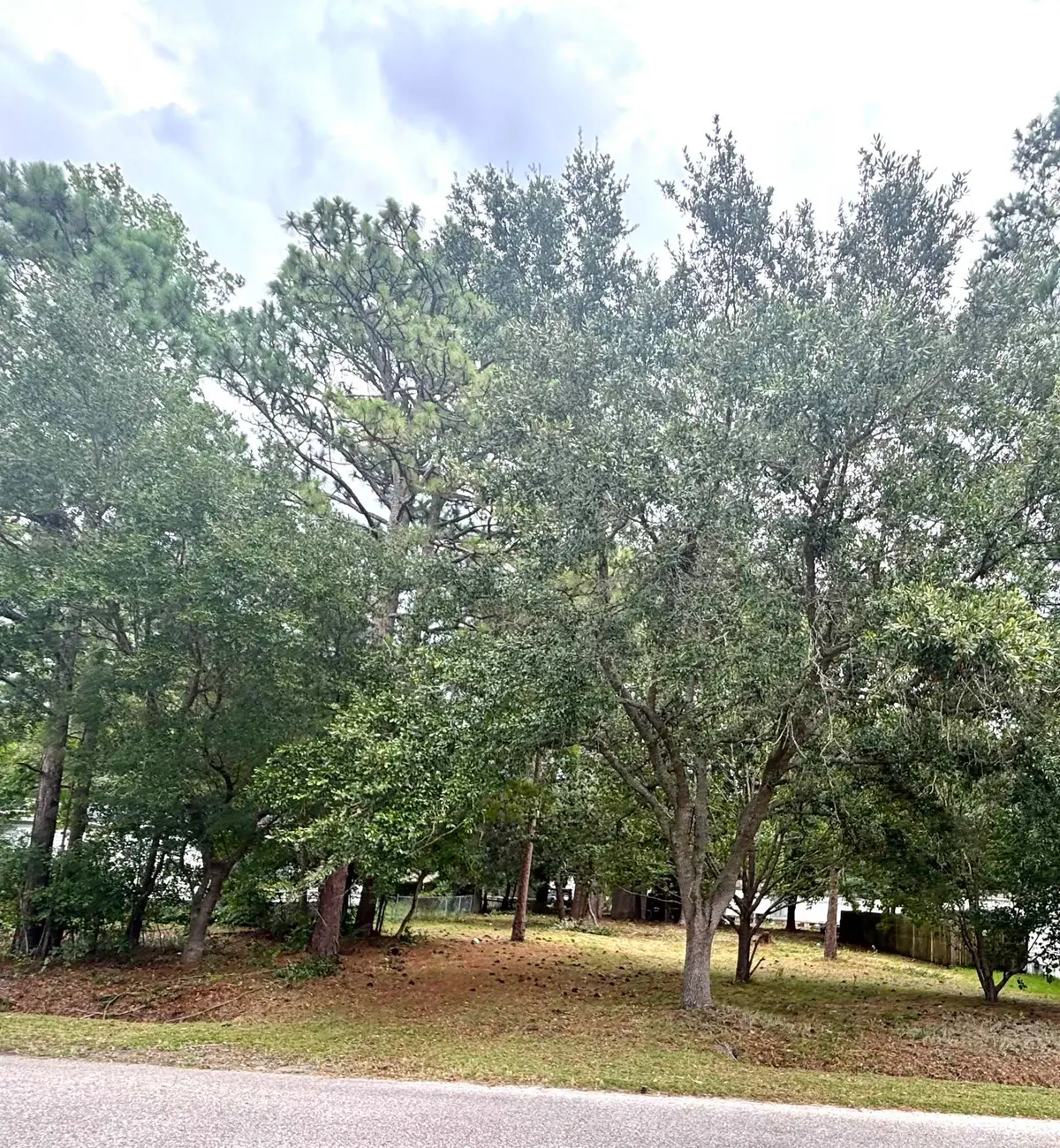 108 Sassafras Ln., Conway, SC 29526 - #1