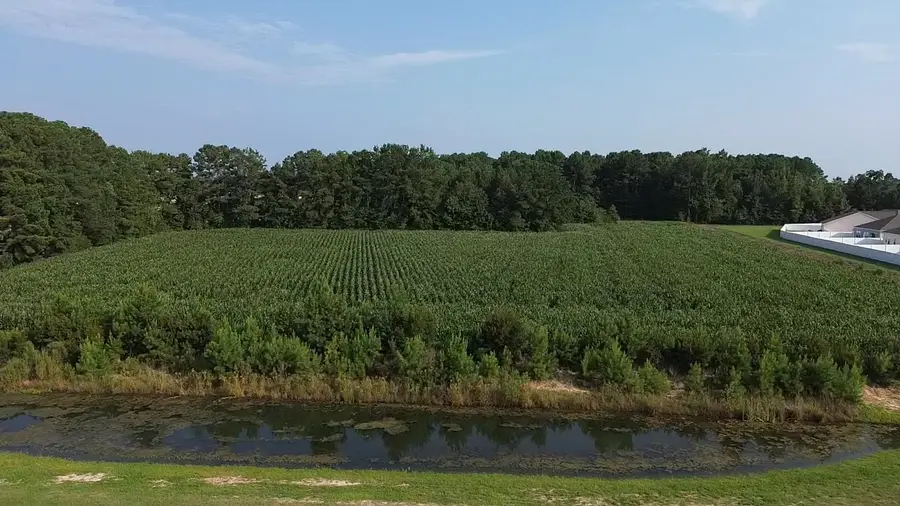 1621 Highway 9, Longs, SC 29568 - #2