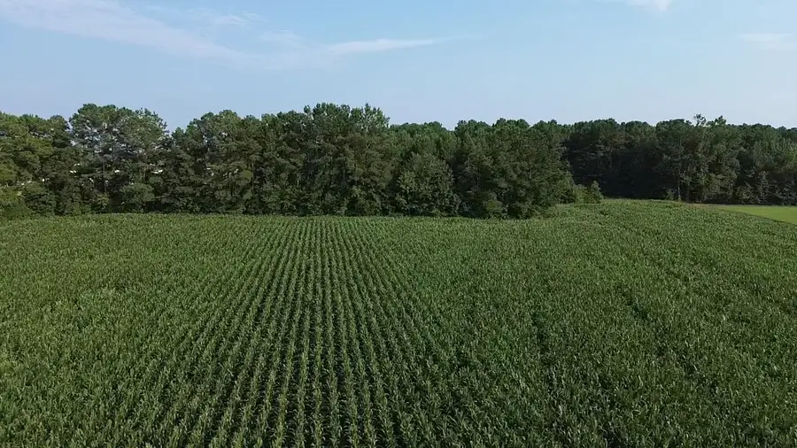 1621 Highway 9, Longs, SC 29568 - #3