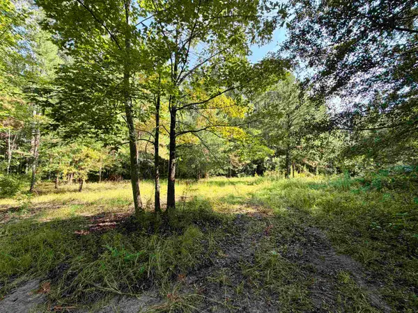 50.5 Acres Epps Rd., New Zion, SC 29111