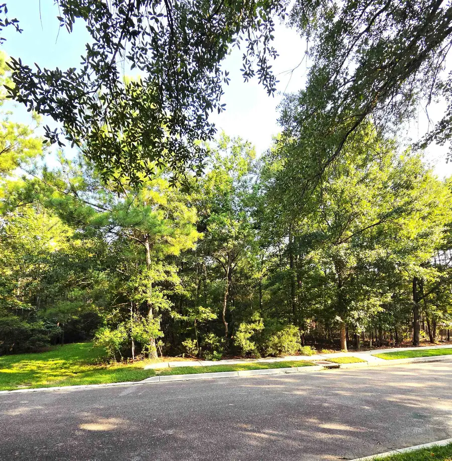 112 Duany Dr., Georgetown, SC 29440 - #2