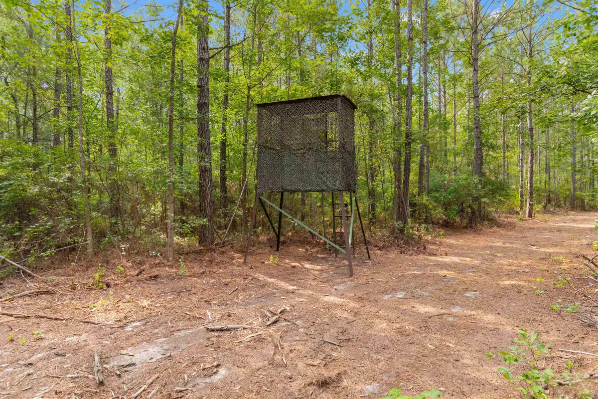 155.81 Acres - Roper Woods Rd., Lake City, SC 29560 - #1