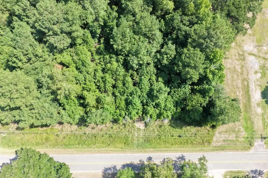 TBD Right Hand Ct, Georgetown, SC 29440 - #3
