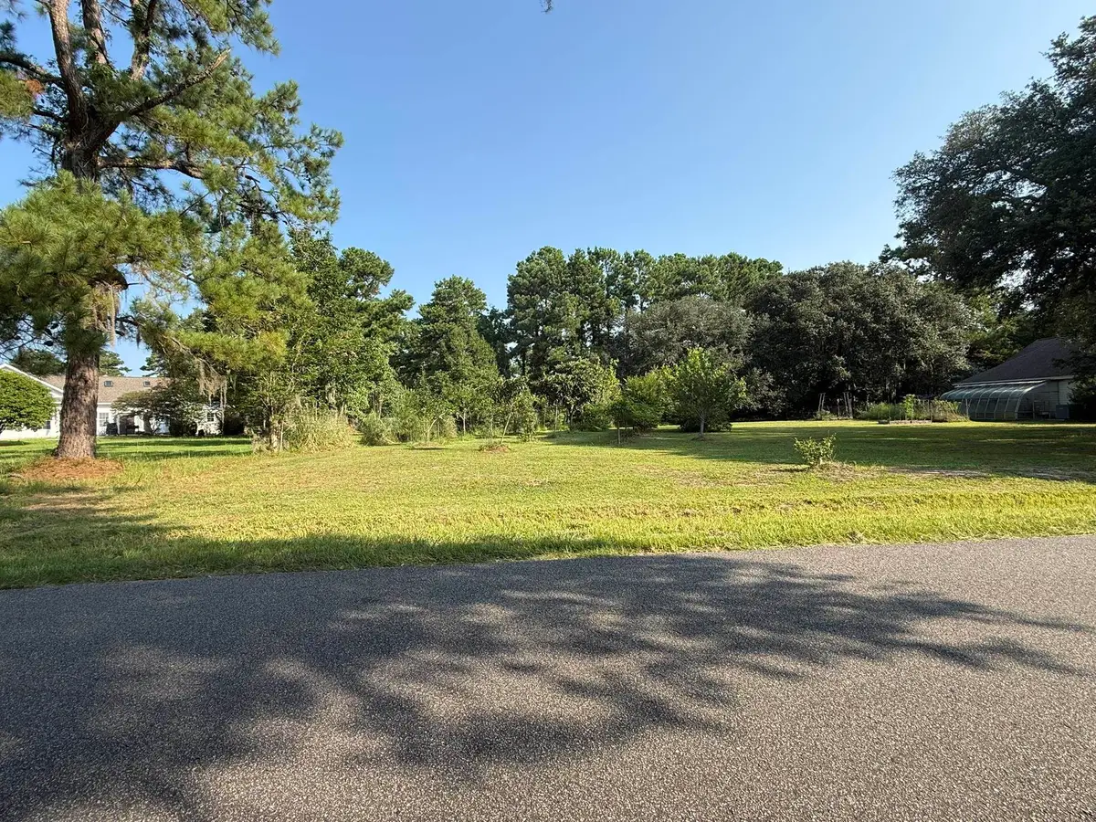 236 Wraggs Ferry Rd., Georgetown, SC 29440 - #1
