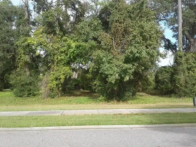 1833 Serena Dr., Myrtle Beach, SC 29579 - #1