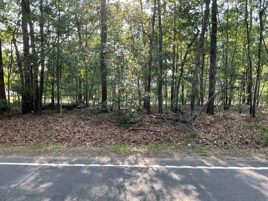TBD Village Rd., Georgetown, SC 29440 - #3