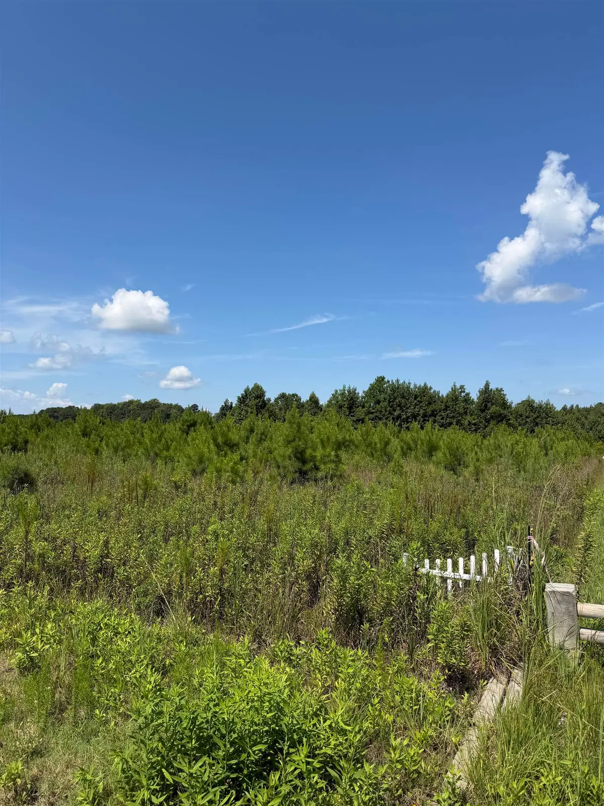 183 Dove Rd., Loris, SC 29569 - #1