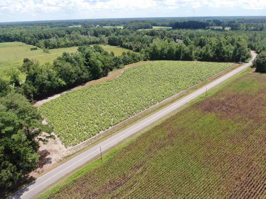 TBD Black Creek Rd., Nichols, SC 29581 - #3