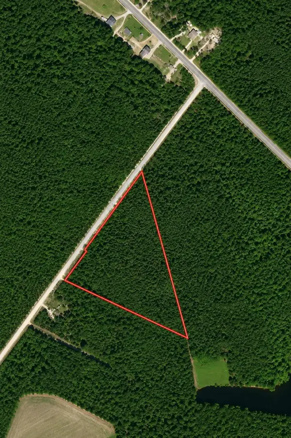 TBD Wolf Pit Bay Rd., Nichols, SC 29581
