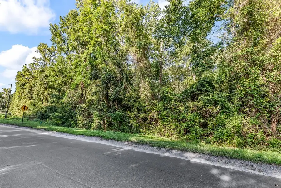 TBD Lyons Ln., Longs, SC 29568 - #2