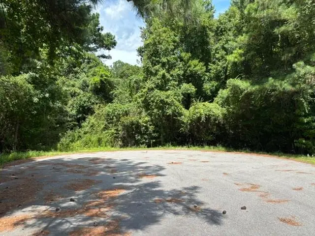 TBD Diff Ave., Loris, SC 29569 - #1