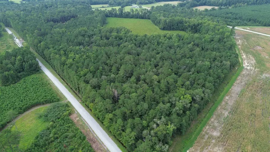 LOT 2 Fries Bay Rd., Loris, SC 29569 - #2