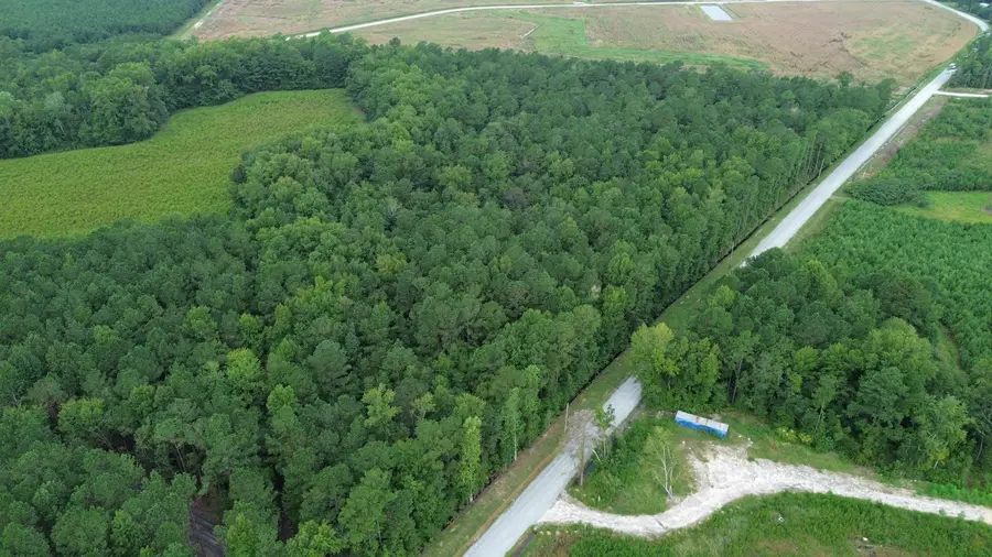 LOT 4 Fries Bay Rd., Loris, SC 29569 - #3