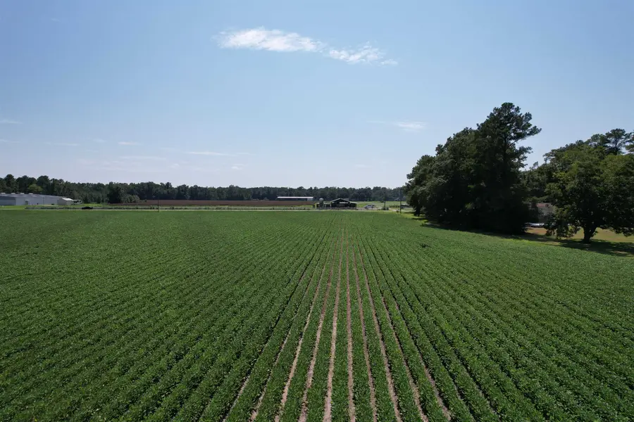 Lot 4 - Sumter Hwy., Kingstree, SC 29556 - #3