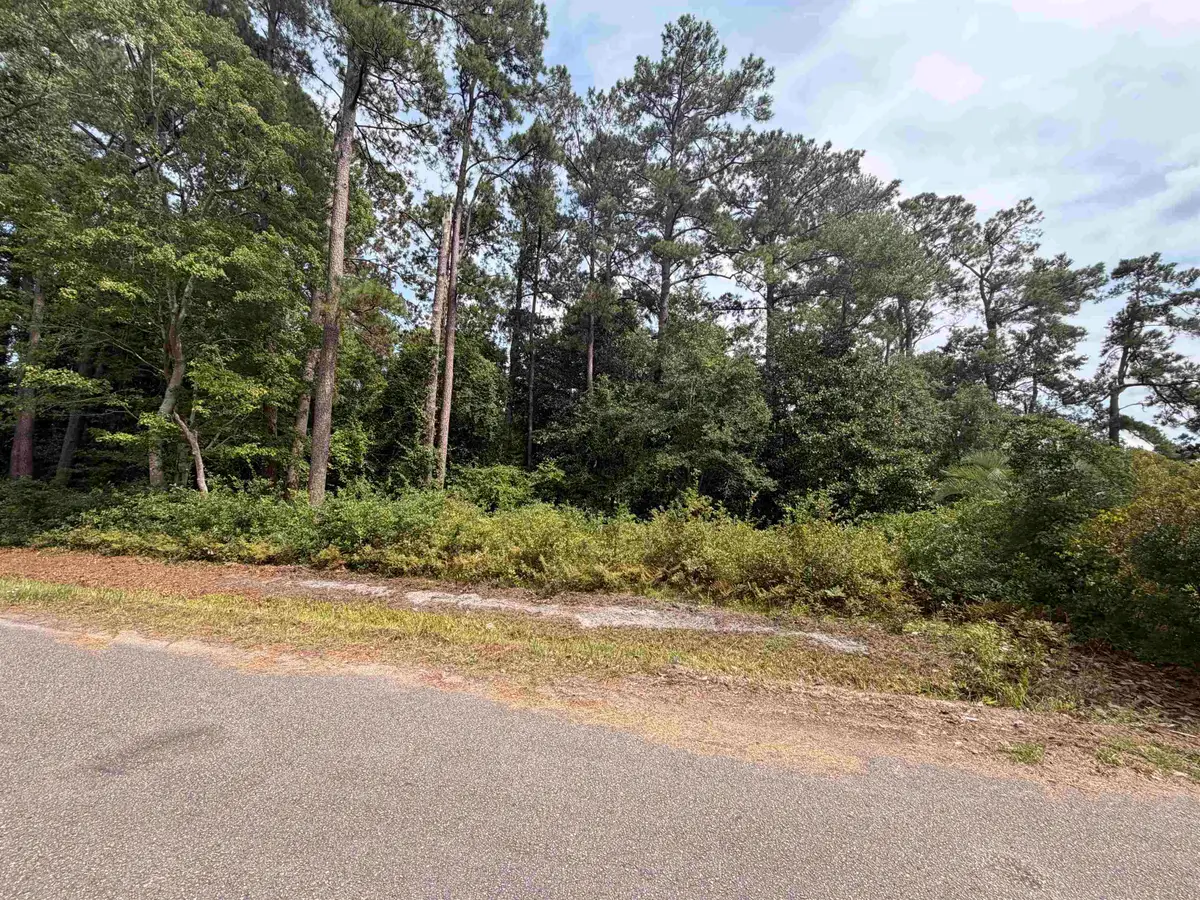 TBD 7th Ave., Conway, SC 29526 - #1