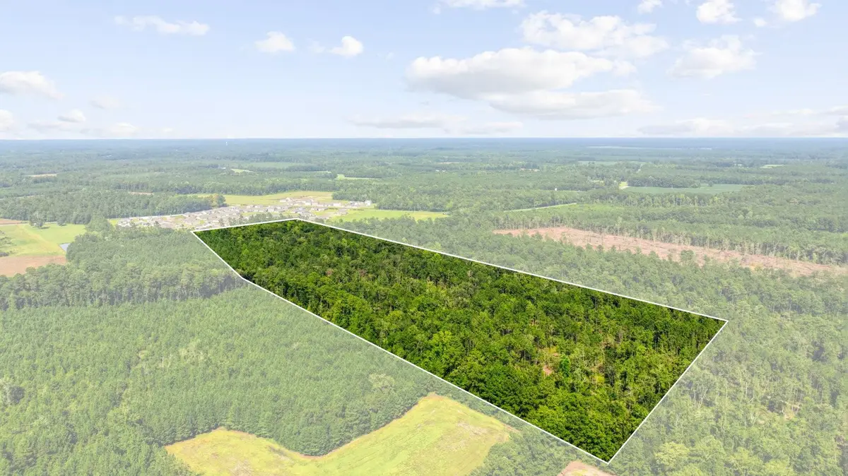 TBD Fries Bay Rd., Loris, SC 29569 - #1