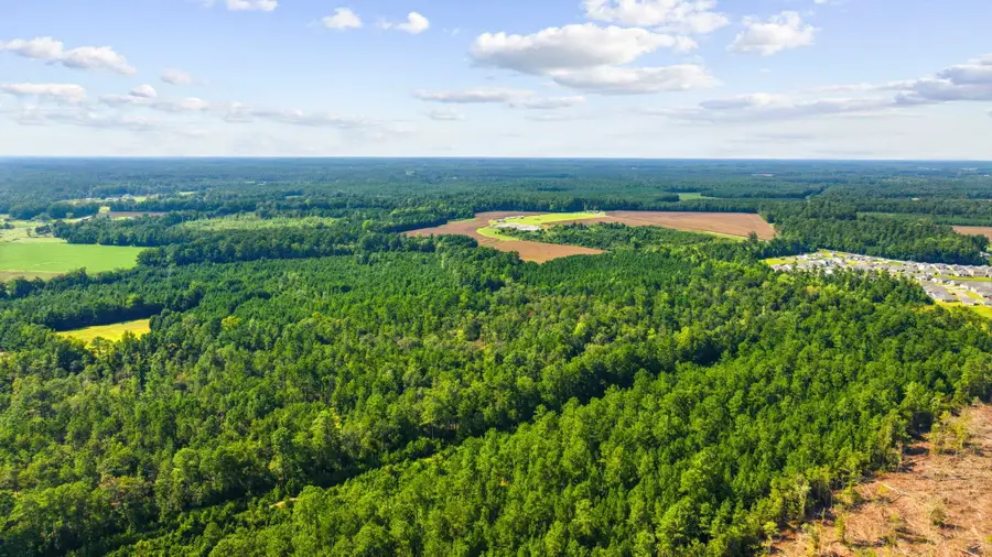 TBD Fries Bay Rd., Loris, SC 29569 - #2