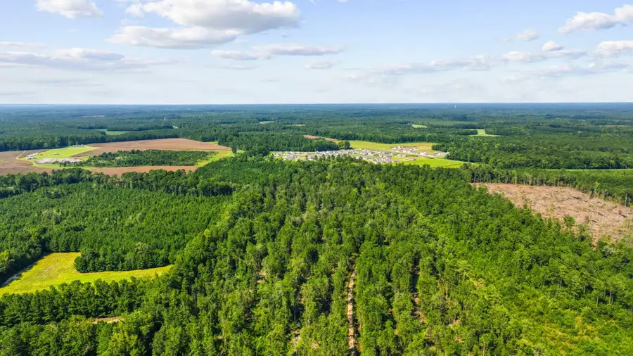 TBD Fries Bay Rd., Loris, SC 29569 - #3