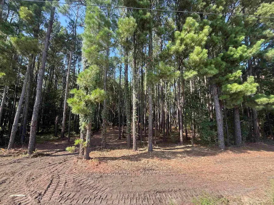 TBD Pasture Rd., Aynor, SC 29511 - #2
