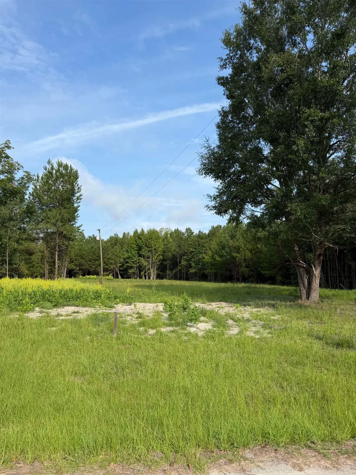 TBD Hayfield Rd., Georgetown, SC 29440 - #1