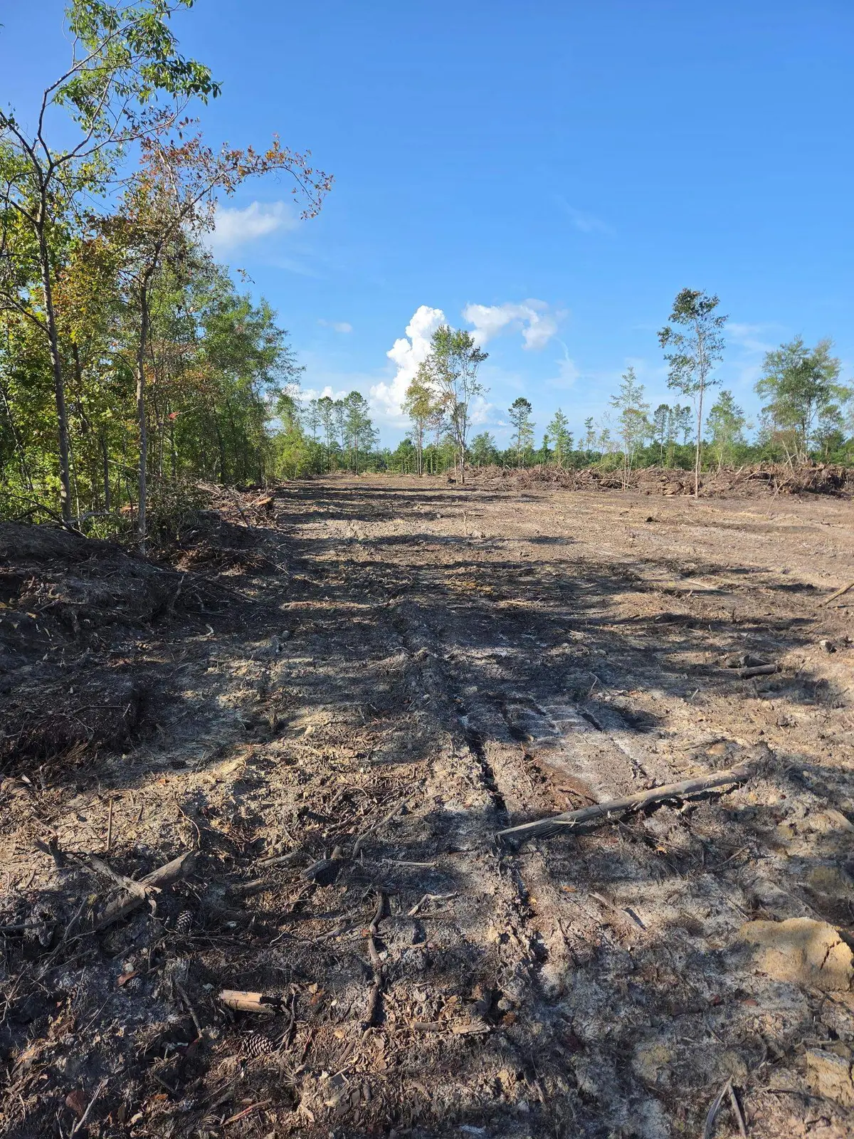 2850 Gause Rd., Loris, SC 29569 - #1
