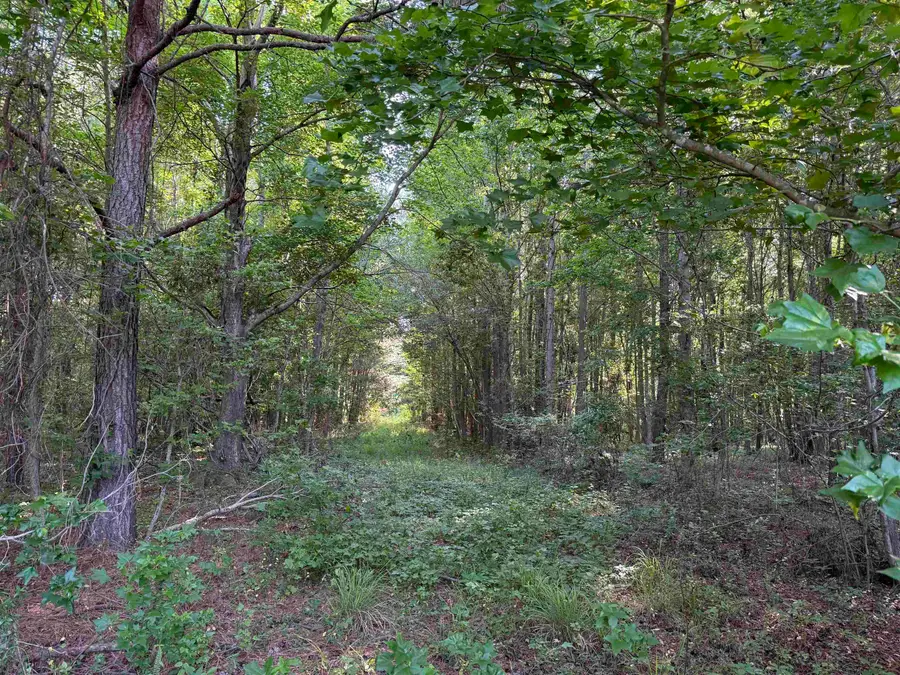 81.67 Acres - Twin Church Rd, Timmonsville, SC 29161 - #3