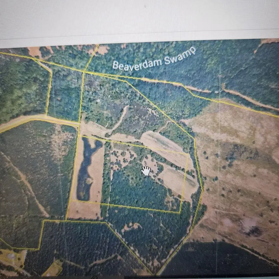 TBD Bratcher Rd., Conway, SC 29526 - #3
