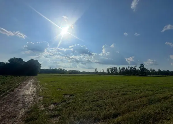 Highway 19, Nichols, SC 29581