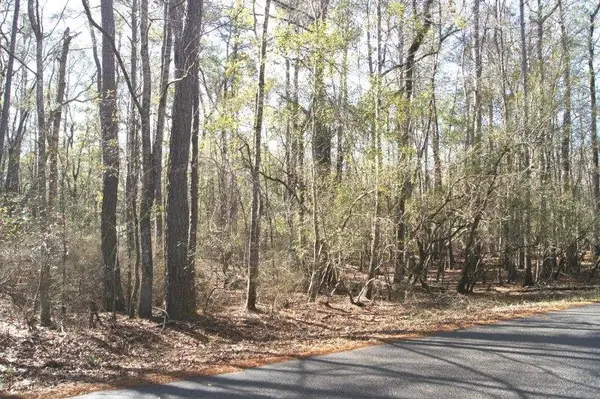 Lot 25 Crow Hill Dr., Georgetown, SC 29440