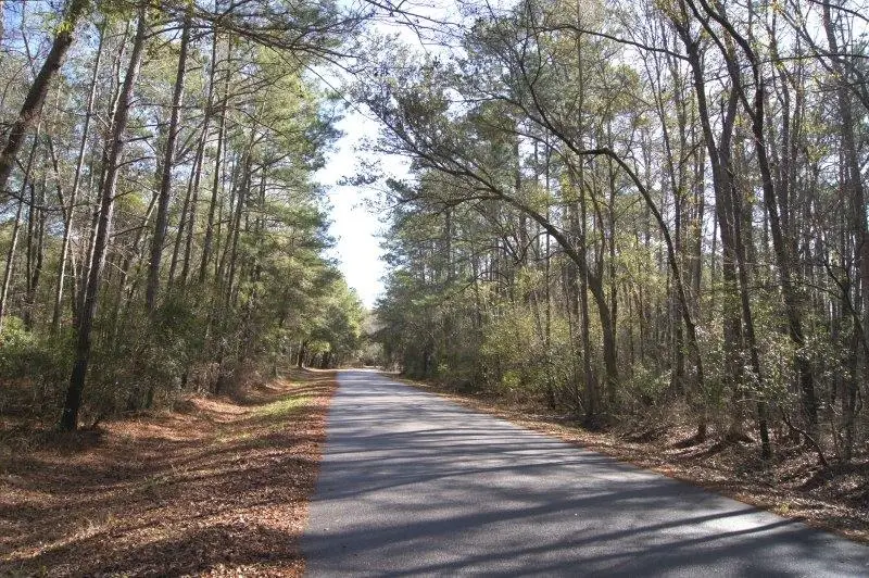 Lot 26 Crow Hill Dr., Georgetown, SC 29440 - #2
