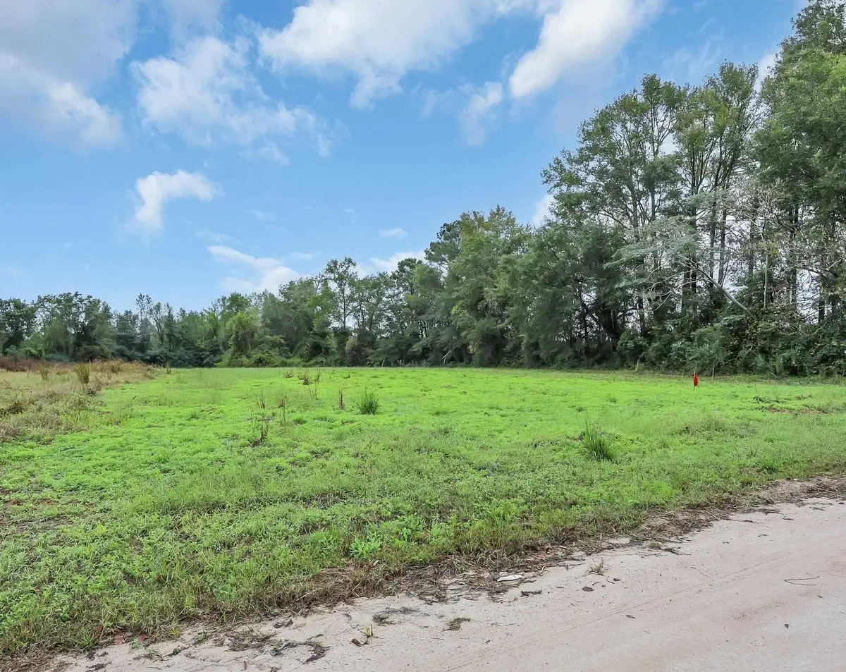TBD Willow Grove Dr., Loris, SC 29569 - #1