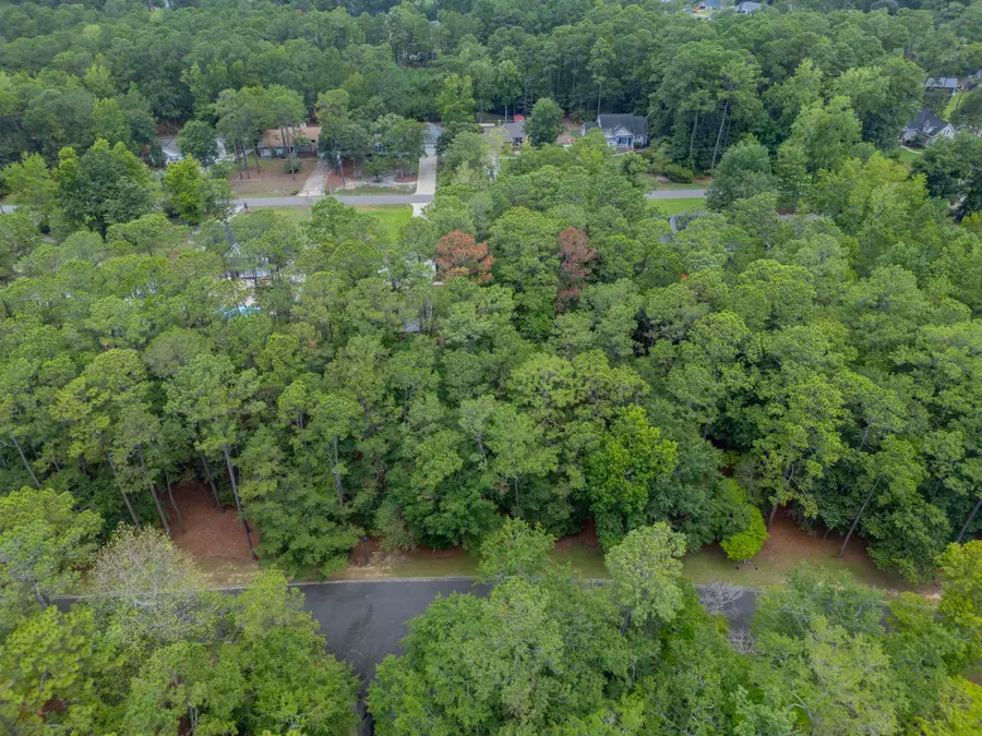 3716 Pine Brook Trail, Shallotte, NC 28469 - #3