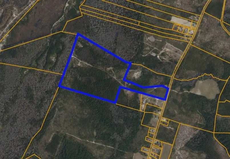 TBD N Nichols Hwy., Nichols, SC 29581 - #1