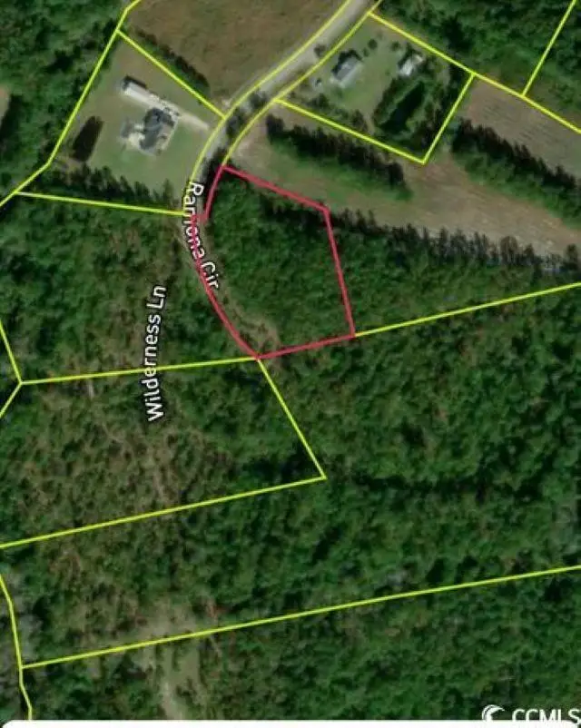 1535 Wilderness Ln., Loris, SC 29569 - #2