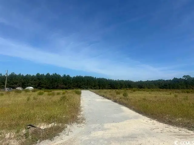 Tansy Rd., Loris, SC 29569 - #3