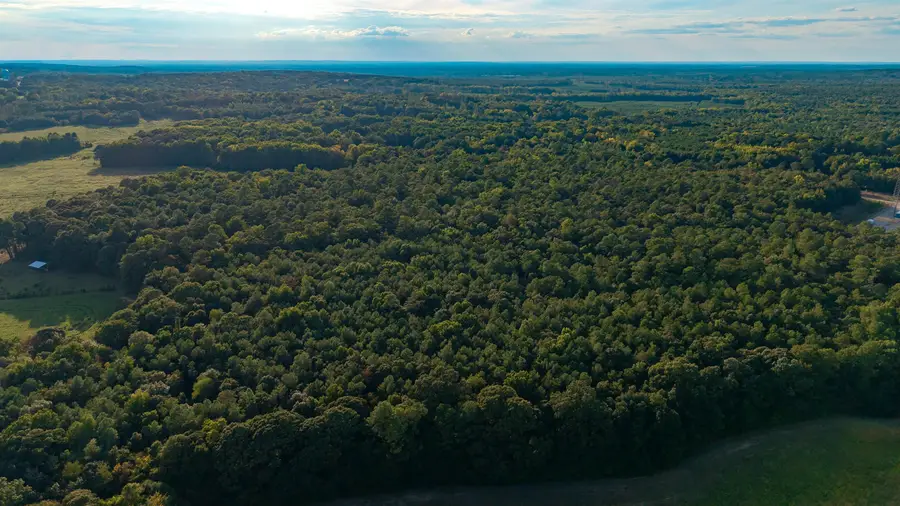 TBD Peach Orchard Rd., Rembert, SC 29128 - #2