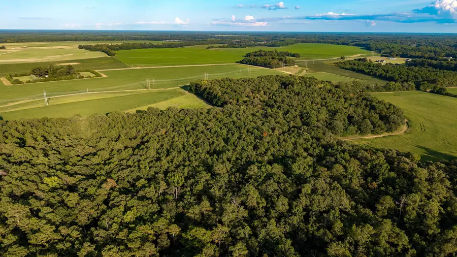 TBD Peach Orchard Rd., Rembert, SC 29128 - #3