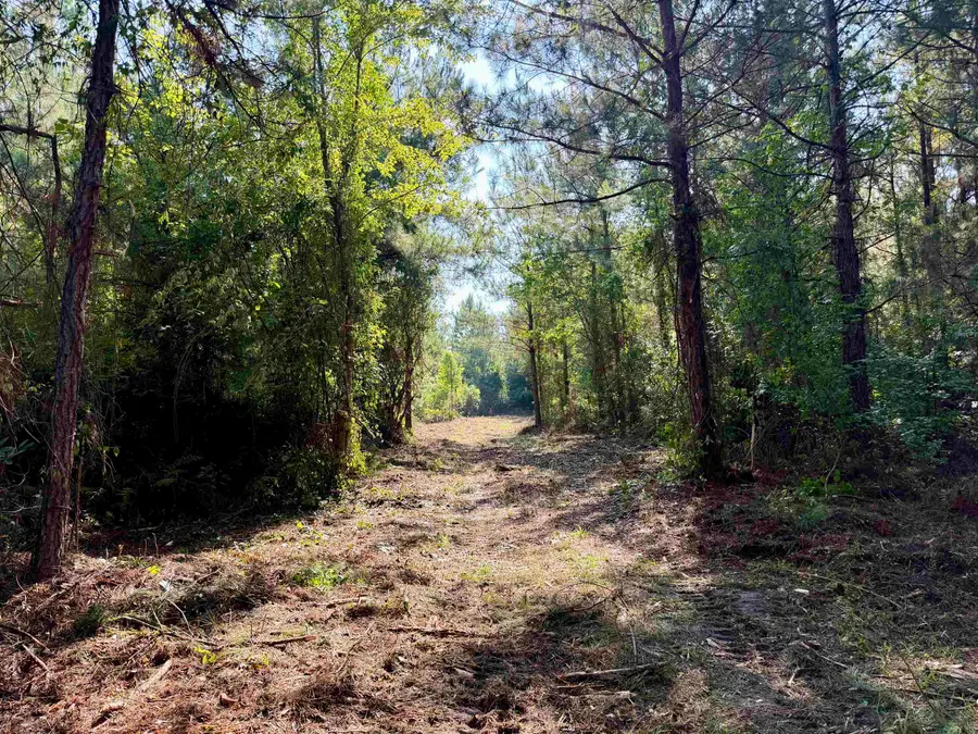 54.5 Acres Epps Rd., New Zion, SC 29111 - #3