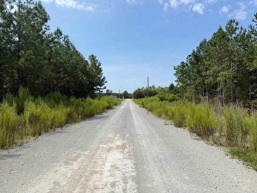 Lot 10 Ellwood Rd., Galivants Ferry, SC 29544 - #2