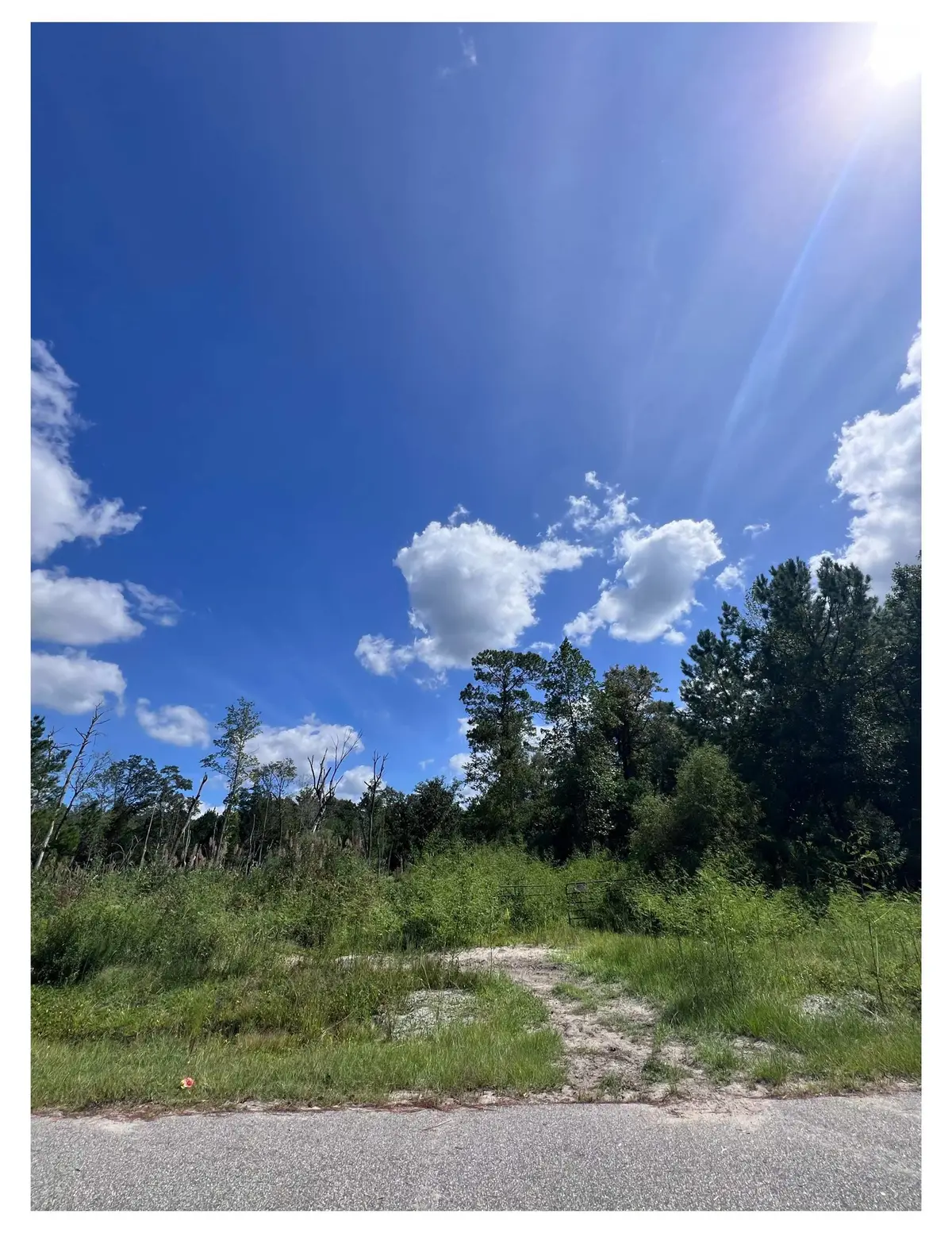 1223 Rainbow Dr., Loris, SC 29569 - #1