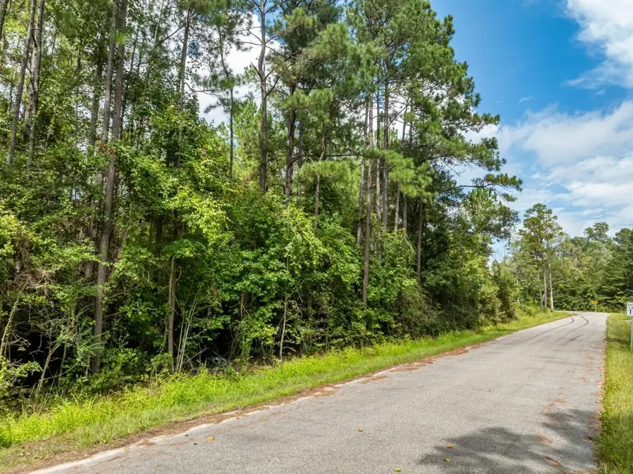 1232 Rainbow Dr., Loris, SC 29569 - #2