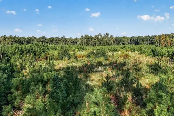 TBD Albatross Rd, Georgetown, SC 29440