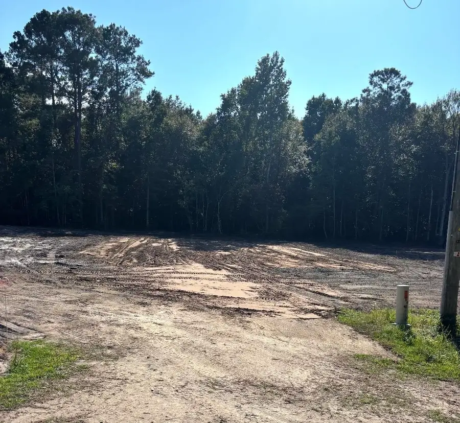 2625 Allen Dew Rd., Conway, SC 29527 - #3