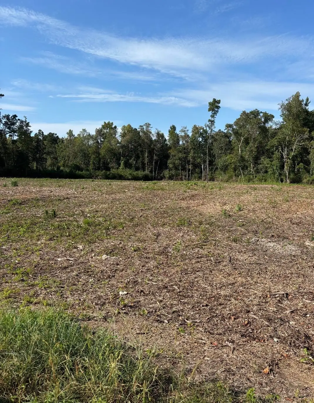 TBD Cane Branch Church Rd., Conway, SC 29527 - #1