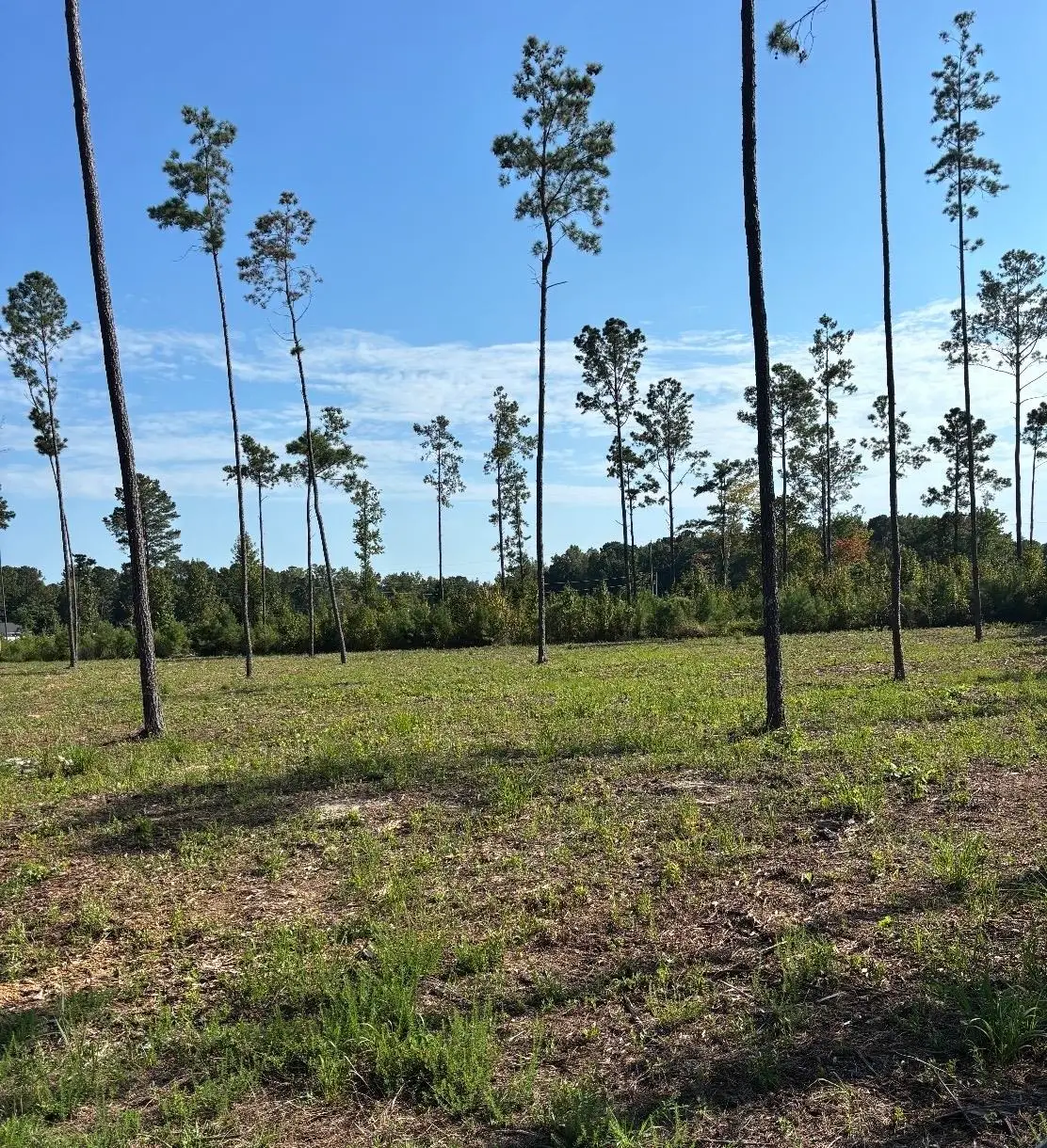 TBD Cane Branch Church Rd., Conway, SC 29527 - #1