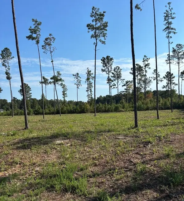 TBD Cane Branch Church Rd., Conway, SC 29527